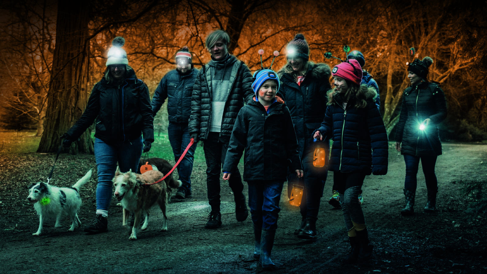 Bark in the Dark Blue Cross